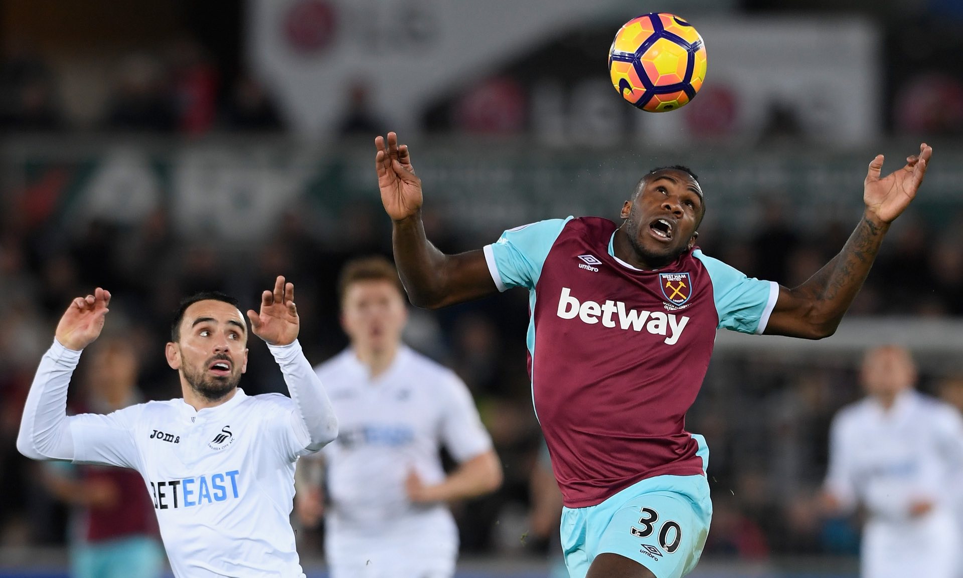 的身体状态 的身体状态